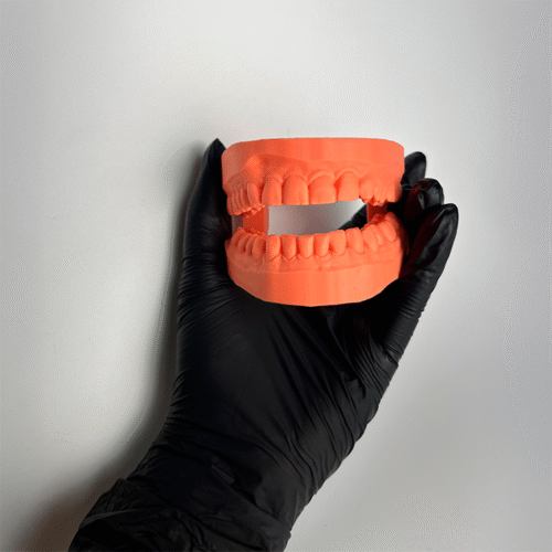 Resina para impressão 3D Dental Model.